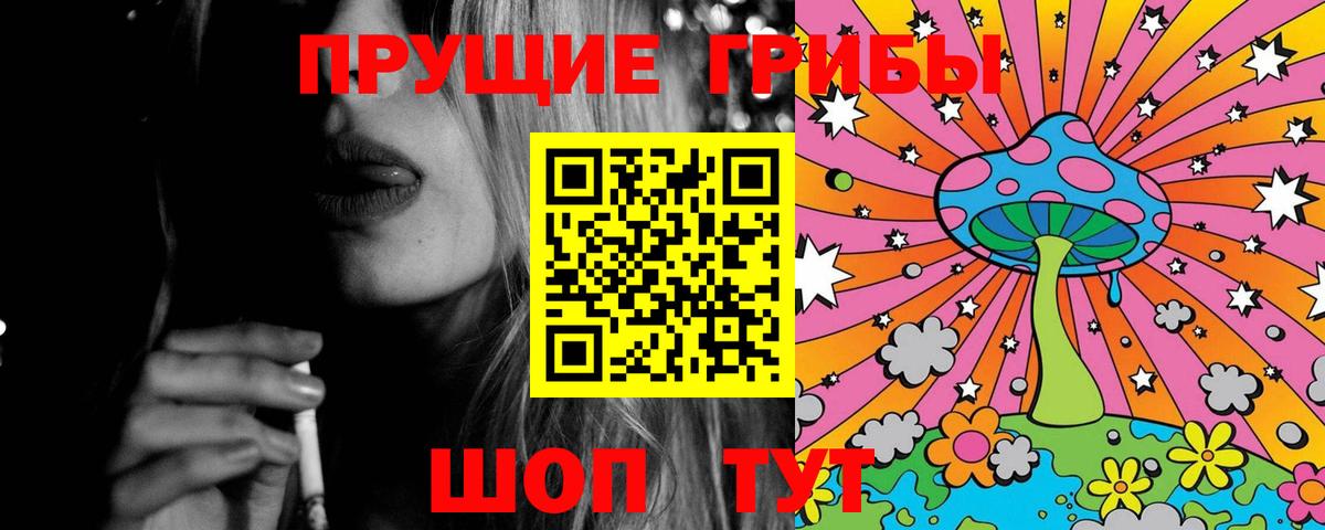 Каменск-Шахтинский  Галлюциногенные грибы Psilocybine cubensis  Вход с VPN 